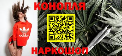 дмт Будённовск