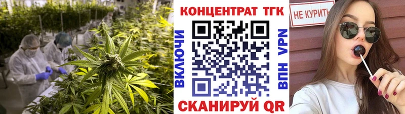 ТГК THC oil  ссылка на мегу зеркало  Заводоуковск 