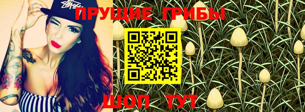 купить   Галлюциногенные грибы мицелий  Заводоуковск  Псилоцибиновые грибы ЛСД 