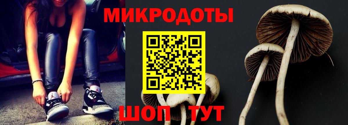 Галлюциногенные грибы Psilocybe  Вход с VPN  как найти закладки  Заводоуковск 
